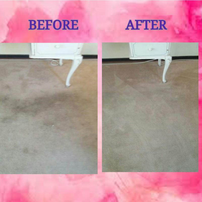 Carpet Genie Carpet Cleaning Specialists Homeimprovement4U