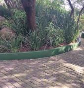 Completed wall after finishing coat