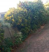 Rhino contractors Malvern Plumbing & Plumbers 3_small