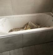 ARXIVISTA PTY LTD CONSTRUCTION & ELECTRICAL Port Elizabeth Central Bathroom Repairs and Maintenance 8_small