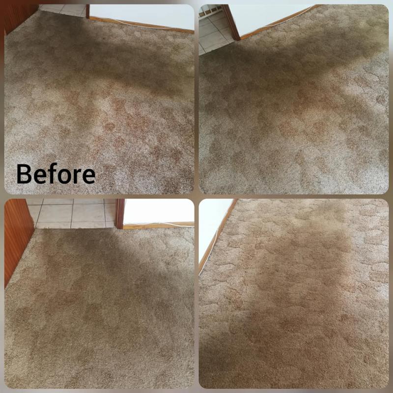 Dry Carpet Cleaners SEBO Mossel Bay Cleaning Contractors & Services