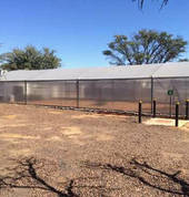 Afri Nets and Structure