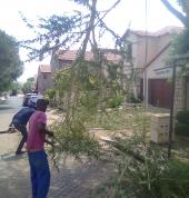 Ashley treefelling and rubble Dunkeld Garden Rubbish Removal 5_small