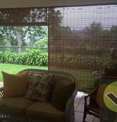 Bamboo Blinds