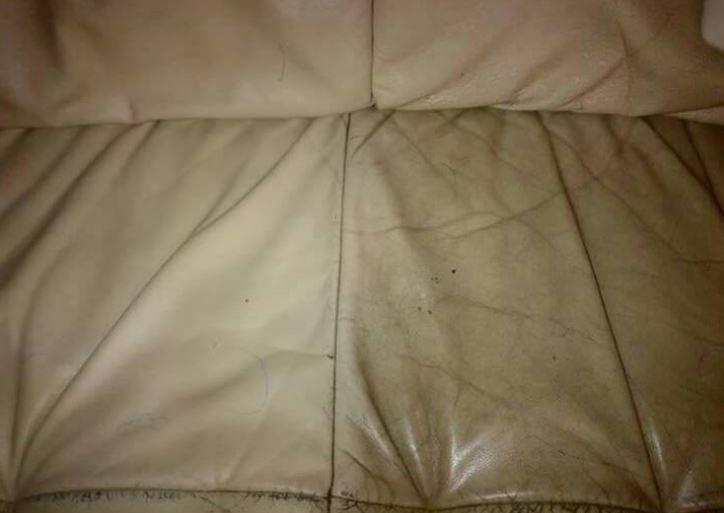 ChemDry Professional Carpet Cleaners Polokwane Carpet Cleaning