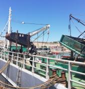 Vision Tech Security Solutions Saldanha CCTV Security Cameras 2_small