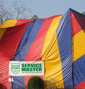 Service Master: Pest Control and Cleaning - Durban Morningside Pest Control Contractors & Services 1_small