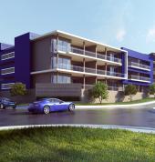 Archalo Creative Imagery Johannesburg CBD Garden Landscapers & Designers 1_small