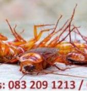 Connor Pest Control Service Blue Downs Blue Downs Pest Control Materials and Supplies 1_small