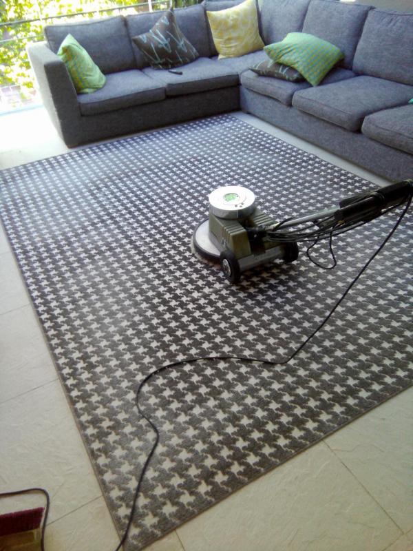 All in One caperts and upholstery Carpet Cleaning Homeimprovement4U