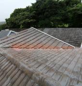 Domestic Roofing