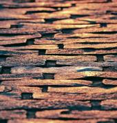 Brick Paving