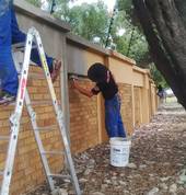 Wall repair and Moist Extraction