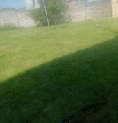 FOUR SEASONS LAWN SERVICES Pinetown Central Garden Services & Lawn Mowing 2_small
