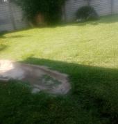 FOUR SEASONS LAWN SERVICES Pinetown Central Garden Services & Lawn Mowing 3_small