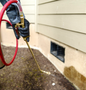 Bug Out Pest Control Ballito Pest Control Contractors & Services 1_small