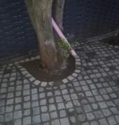 BOSMAN RENOVATIONS Freeway Park Plumbers 6_small