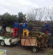 Sikaso garden services Bluff CBD Land Clearing 3_small