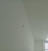 Ceiling and wall painting