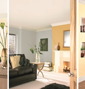 HOT POT PAINTS AND ALLUMINIUM Windsor Glen Painters 5_small