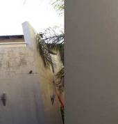 HOT POT PAINTS AND ALLUMINIUM Windsor Glen Painters 25_small