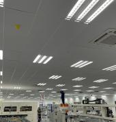 1000sqm ceilings