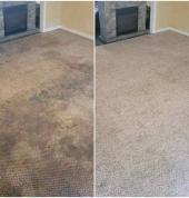 CleanSpheres ZA Pretoria Central Pest Control Contractors & Services 3_small