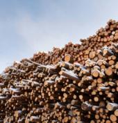 Wood Droppers SA Plettenberg Bay CBD Garden Fences 3_small