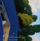 Global 3 Electrical and Construction Glen Austin Electricians 17_small