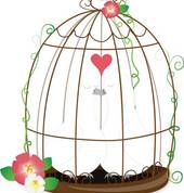 Bird Proofing Cape Town Durbanville Pest Control Contractors & Services 1_small