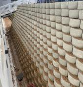 Pro Ex Paving Durban North CBD Paving Installation 7_small