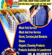 BUSY BEE PAYLESS LAUNDRY AND CLEANING SERVICES Midrand CBD Cleaning Contractors & Services 1_small