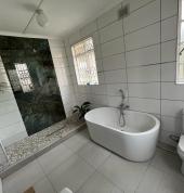 Bathroom maintenance