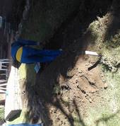 Digging the treanchfor extestion of the house