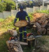 Tree felling and site clearing by African Sunshine in Ballito