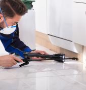 Pest Control in Kitchen