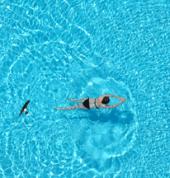 The Pool Clinique Pageview Plunge Pools 2_small