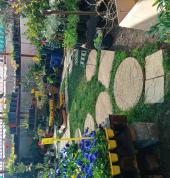 Fatima's Garden nursery Lenasia CBD Garden & Landscaping Materials and Supplies 2_small