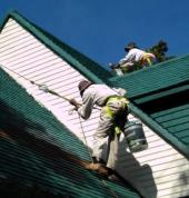 Tiled Roof Painting