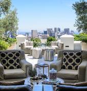 Potted Olives on this chic boutique hotel terrace overlooking the City Bowl
