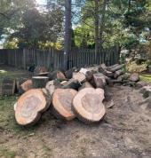 NKOSINATHI TREE FELLING SERVICES ???? Durban North CBD Outdoor Heating & Cooking 1_small