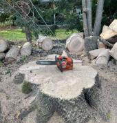 NKOSINATHI TREE FELLING SERVICES ???? Durban North CBD Outdoor Heating & Cooking 2_small