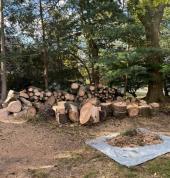 NKOSINATHI TREE FELLING SERVICES ???? Durban North CBD Outdoor Heating & Cooking 3_small