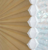 Duette Architella Shade