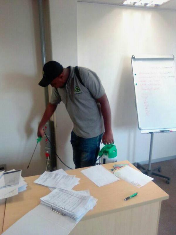 Bugbusterz Pest Control Infestation & Fumigation Specialists