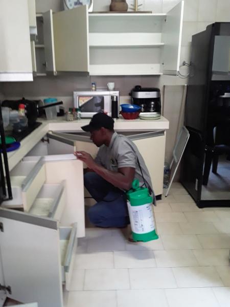 Winter fumigation sale Aston Manor Infestation &amp; Fumigation _small