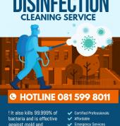 Pest Exterminators Brackenfell Termite Control & Treatment 1_small