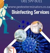 Pest Exterminators Brackenfell Termite Control & Treatment 3_small