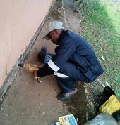 PEST AFRICA (PTY) (LTD) Mayville Pest Control Contractors & Services 1_small