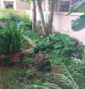 Sethunya Gardens Centurion Central Garden & Landscaping Contractors & Services 5_small